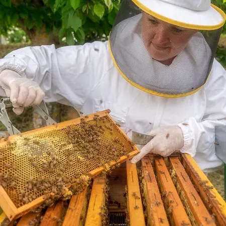 Castello Di Pupaggi *