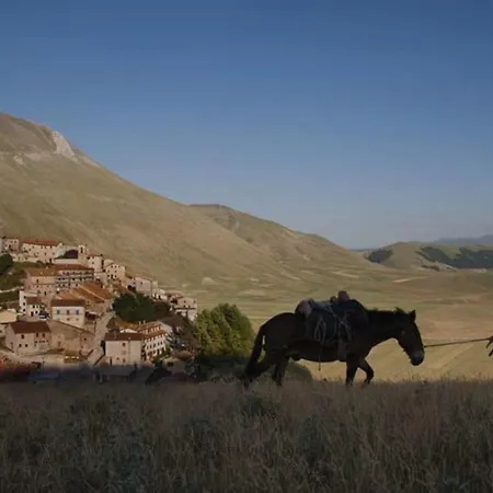 Castello Di Pupaggi 팜스테이