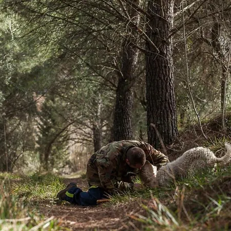 Castello Di Pupaggi *