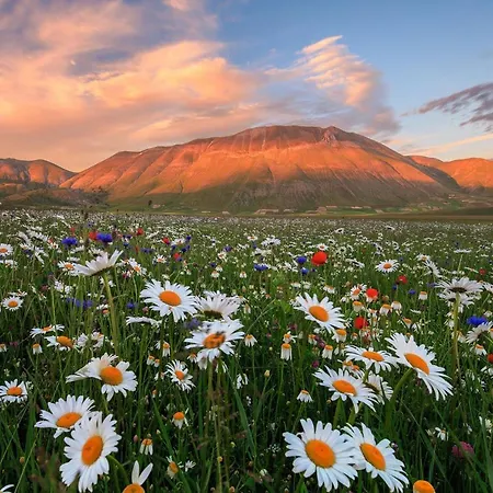 ファームステイ Castello Di Pupaggi *