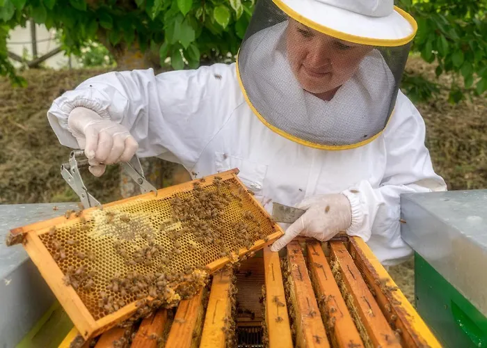 Castello Di Pupaggi *