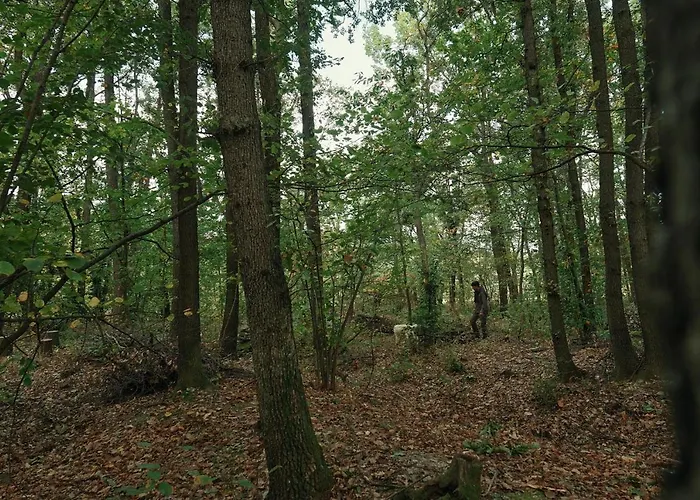 Castello Di Pupaggi Alojamento de Turismo Rural