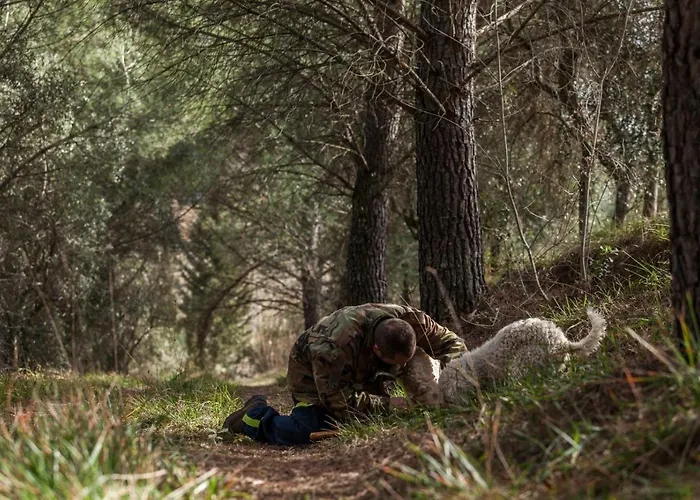 Castello Di Pupaggi *