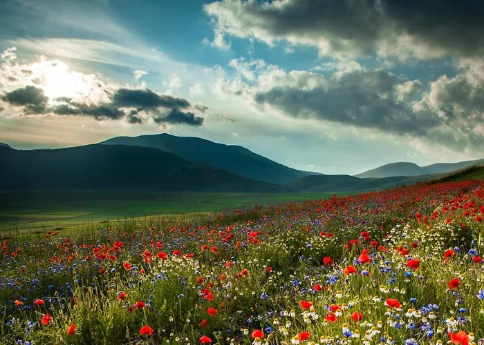 Castello Di Pupaggi Alojamento de Turismo Rural *