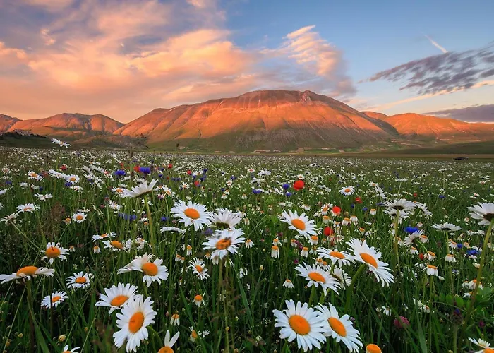 Alojamento de Turismo Rural Castello Di Pupaggi *